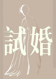 试婚游戏