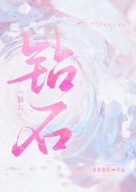 钻石NP