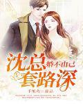 婚不由你沈清全文免费阅读