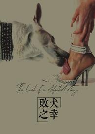 败犬之子什么意思