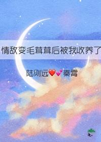 情敌变成了我的猫怎么办在线等急txt