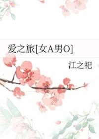台湾电视剧爱之旅