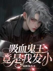 主角是吸血鬼亲王的