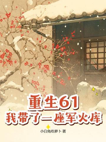 我带了一座军火库让妹妹吃饱饭动画