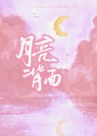 月亮背面的人