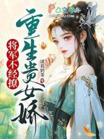 将军不经撩全