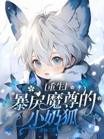 重生暴戾魔尊的小奶狐作者