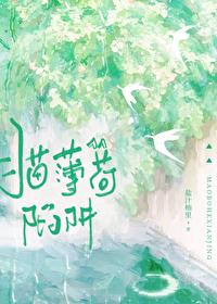 猫薄荷的猫