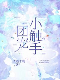 团宠的推荐
