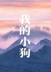 我的小狗(人外)作者萨摩耶著