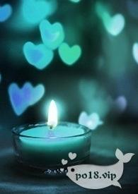 调教世界第一公主殿下 np