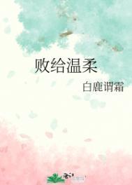 败给温柔简介