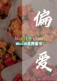 偏爱高干文