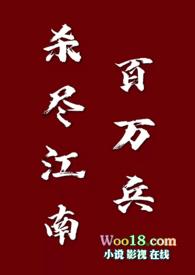 杀尽江南百万兵by糯米藕讲什么
