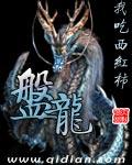 盘龙15集