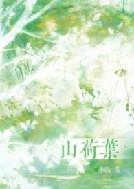 山荷叶花别名