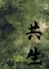 共生讲了什么
