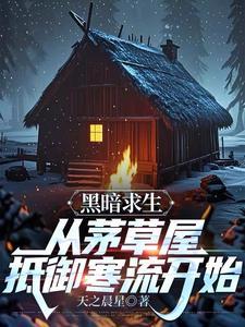 黑暗求生从茅草屋抵御寒流开始最新
