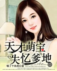 天才萌宝爹地追妻忙