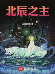 北辰之主笔趣阁在线阅读