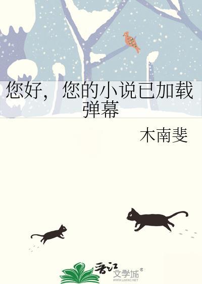 您的已加载弹幕资源