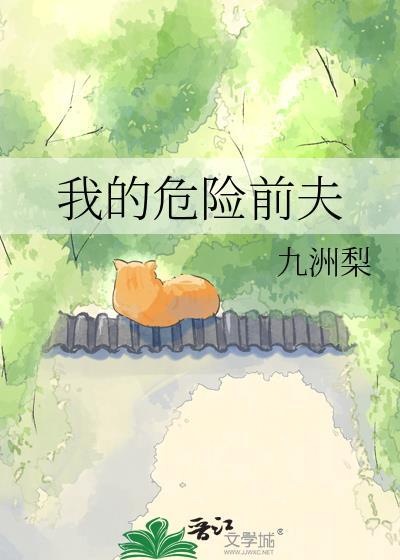 我的危险夫人全文