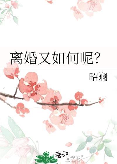 离婚又如何呢txt百度