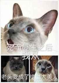 死而复生之后我从老头变成了绝世大美人讲的是什么