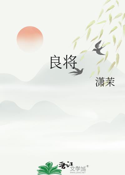 良将安边残局破解视频