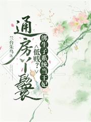 通房丫鬟助圆房