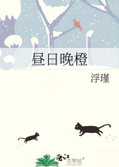 昼日晚橙讲的什么