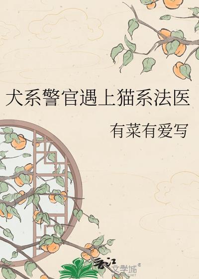 犬系 猫系