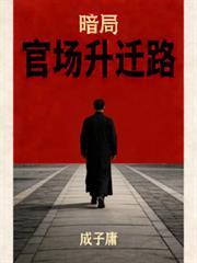 暗局仕途什迁路
