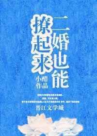 二婚也能撩起来txt宝书网