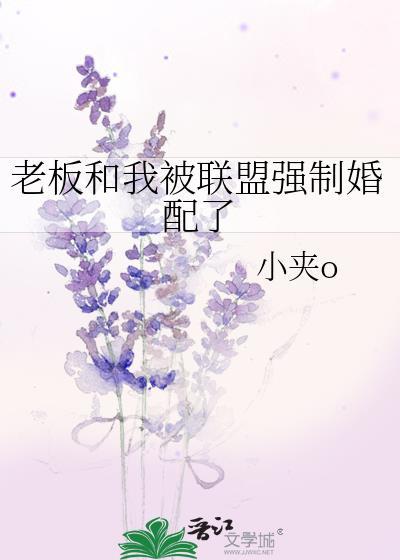 被老板xsr