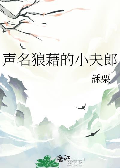 声名狼藉的小夫郎完结版免费阅读