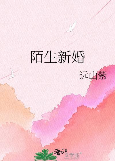 陌生的婚礼歌词