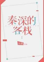 秦深的客栈书包网