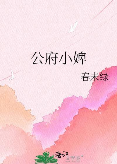 国公府小妾