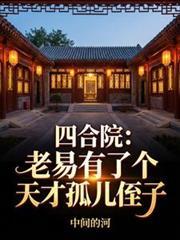 四合院老易有了个天才孤儿侄子TXT下