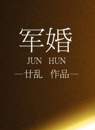 军婚文高干文