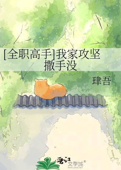 全职高手之我家队员