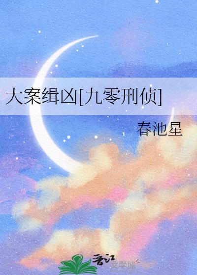 大案100集