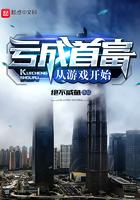 亏成首富从游戏开始起点