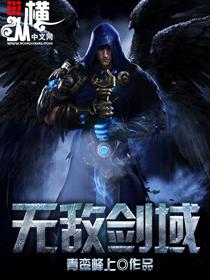 无敌剑域杨无敌